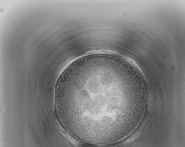 X0000060771228200511171205