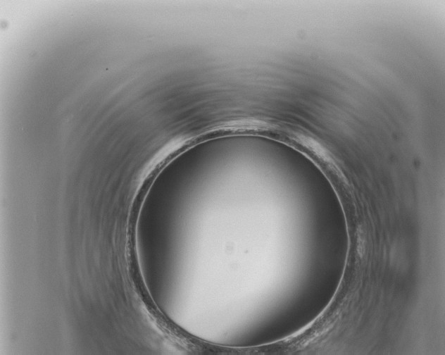 X0000060771229200511171205