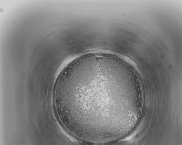 X0000060771231200511171205