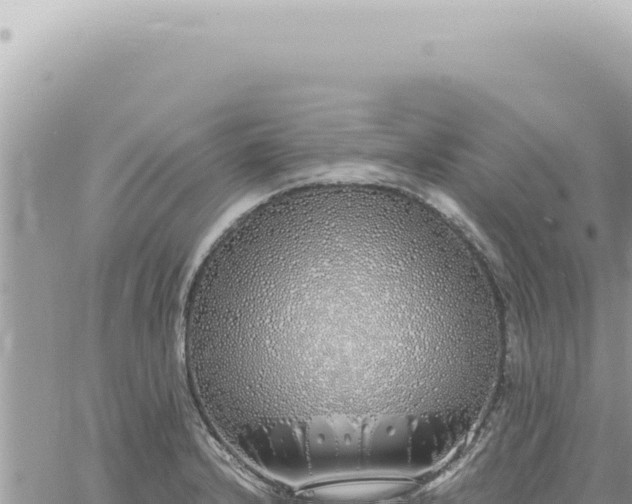 X0000060771232200511171205