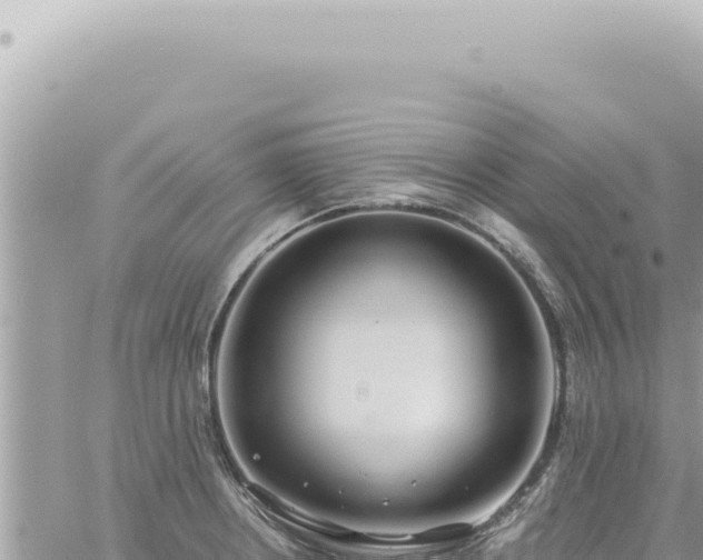 X0000060771234200511171205