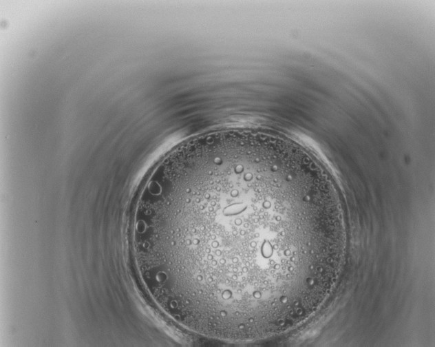 X0000060771235200511171205