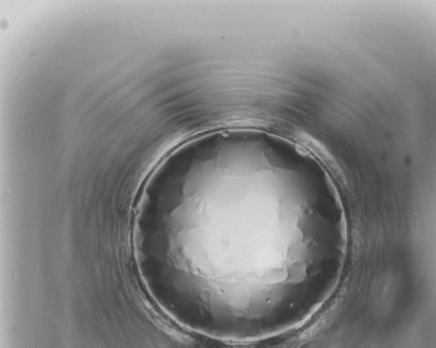 X0000060771236200511171205