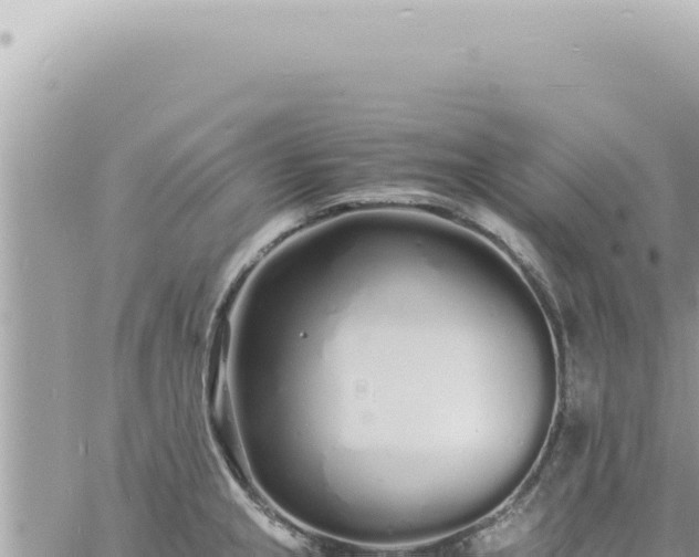 X0000060771237200511171205