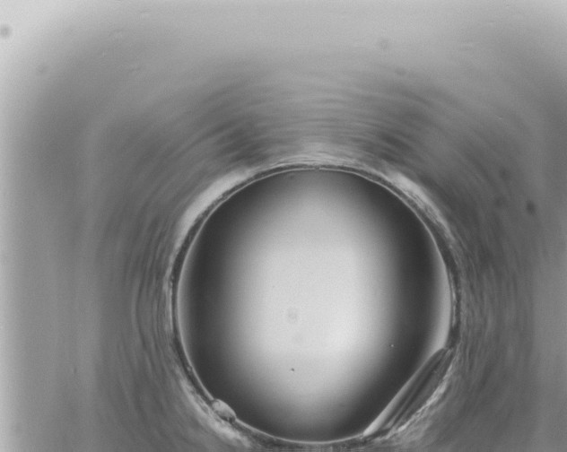 X0000060771238200511171205