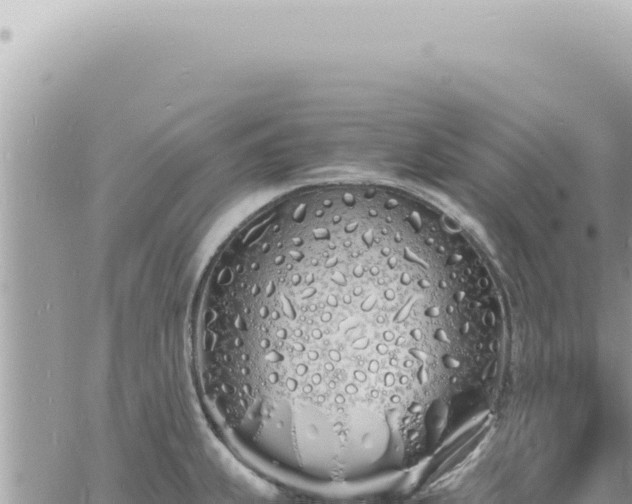 X0000060771239200511171205