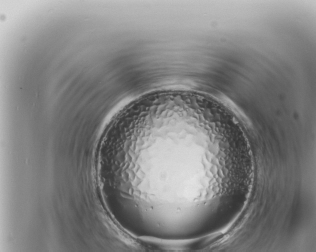 X0000060771240200511171205