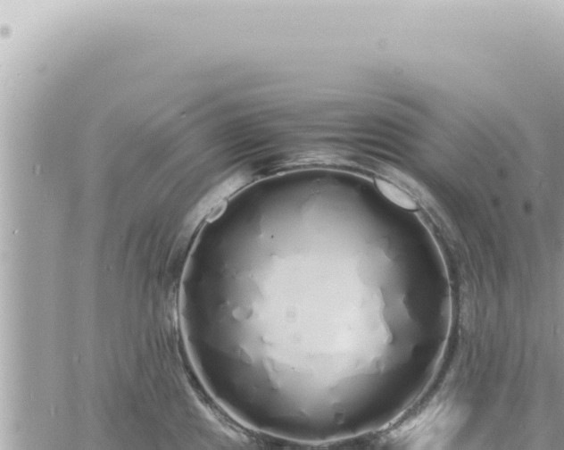 X0000060771241200511171205