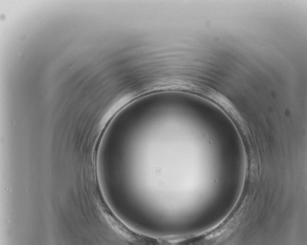 X0000060771242200511171205