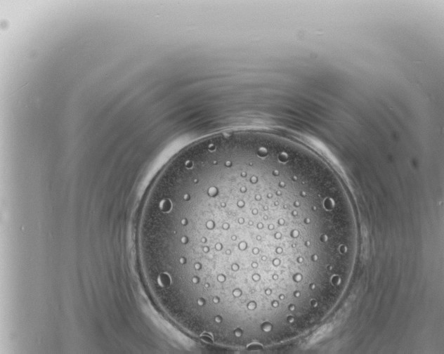 X0000060771243200511171205