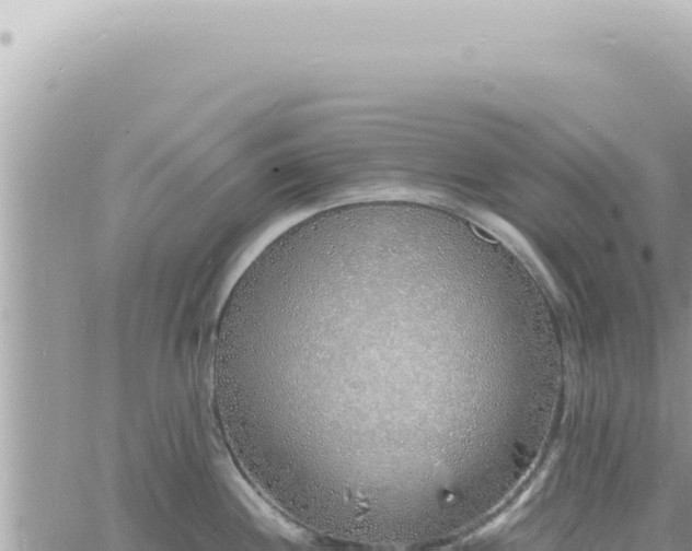 X0000060771244200511171205