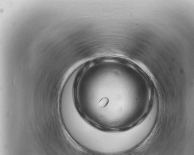 X0000060771246200511171205