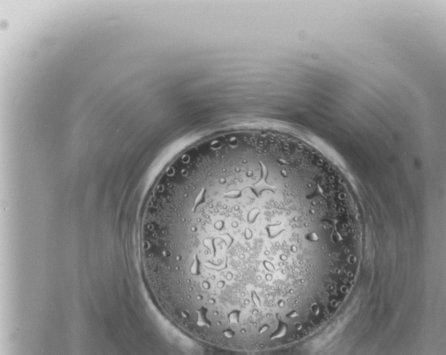 X0000060771247200511171205