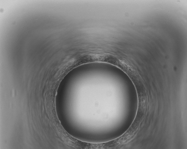 X0000060771249200511171204