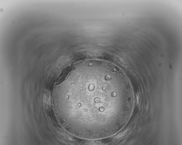 X0000060771251200511171204