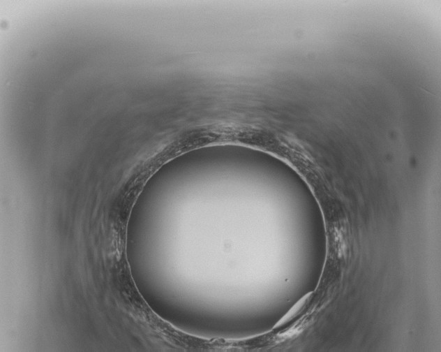 X0000060771253200511171204