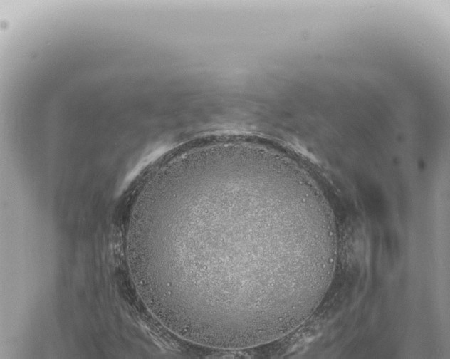 X0000060771255200511171204