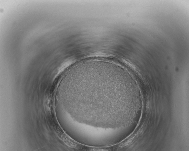 X0000060771258200511171204