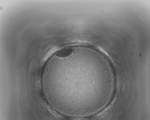 X0000060771259200511171204