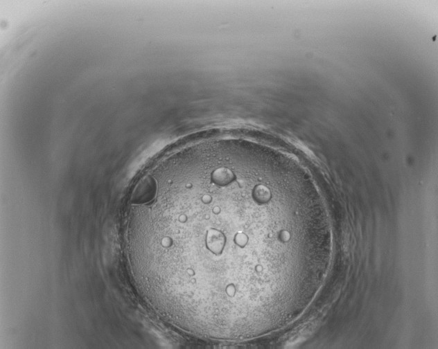 X0000060771263200511171204