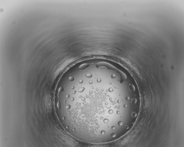 X0000060771266200511171204