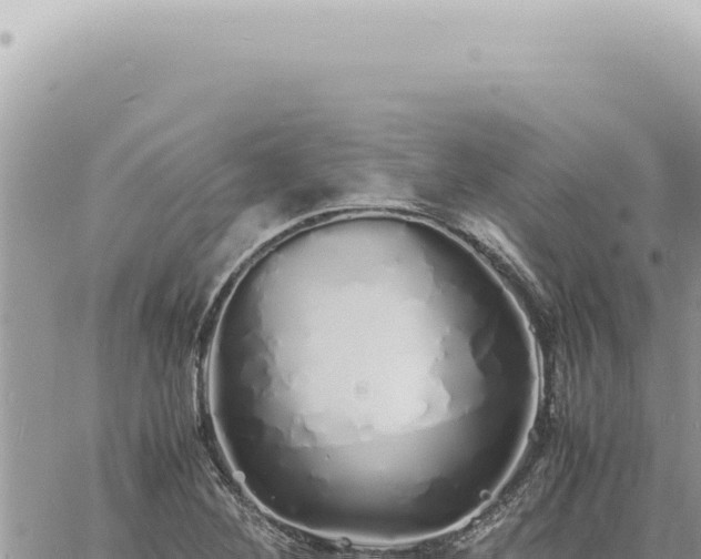 X0000060771268200511171204