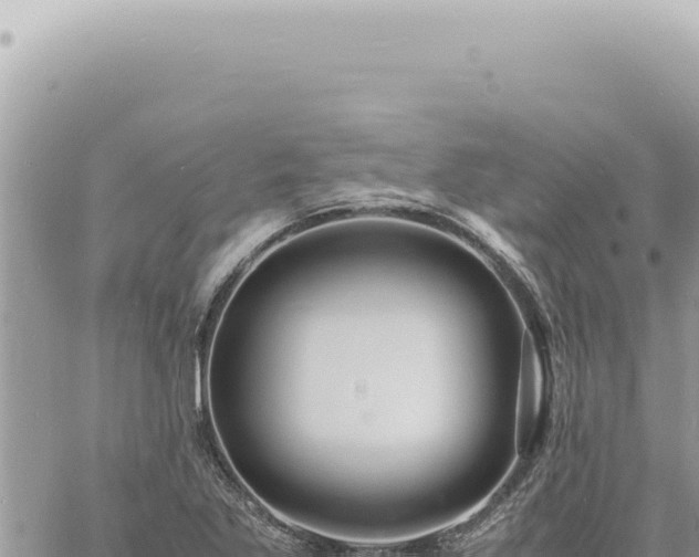 X0000060771269200511171204