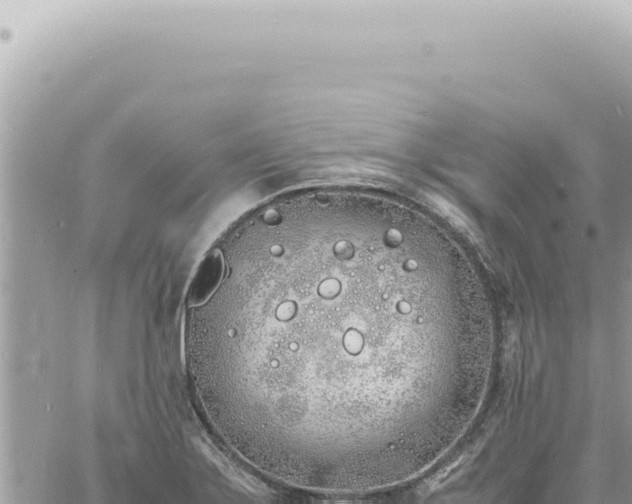 X0000060771275200511171204