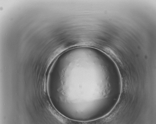 X0000060771276200511171204