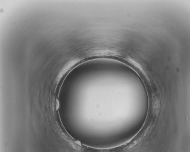 X0000060771277200511171204