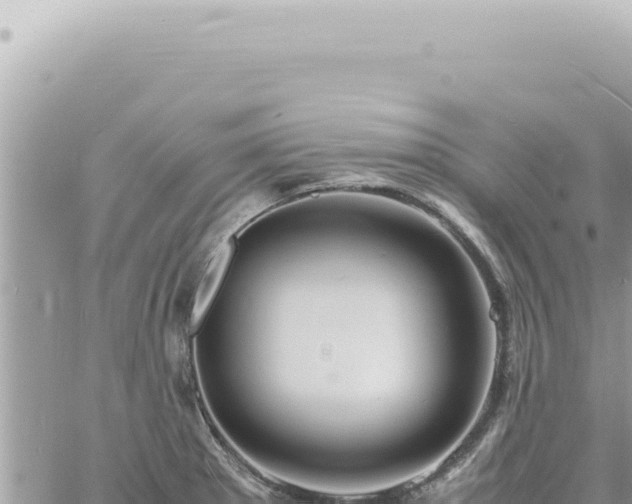 X0000060771281200511171204