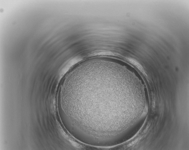 X0000060771282200511171204