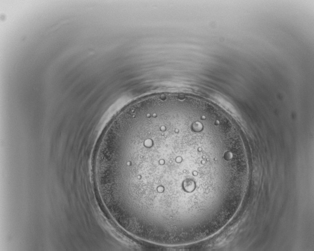 X0000060771283200511171204