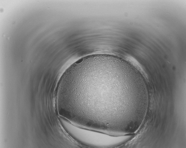 X0000060771284200511171204