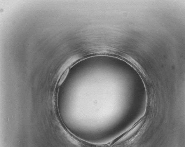 X0000060771285200511171204