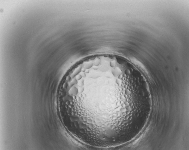 X0000060771288200511171204