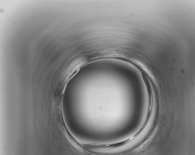 X0000060771289200511171204