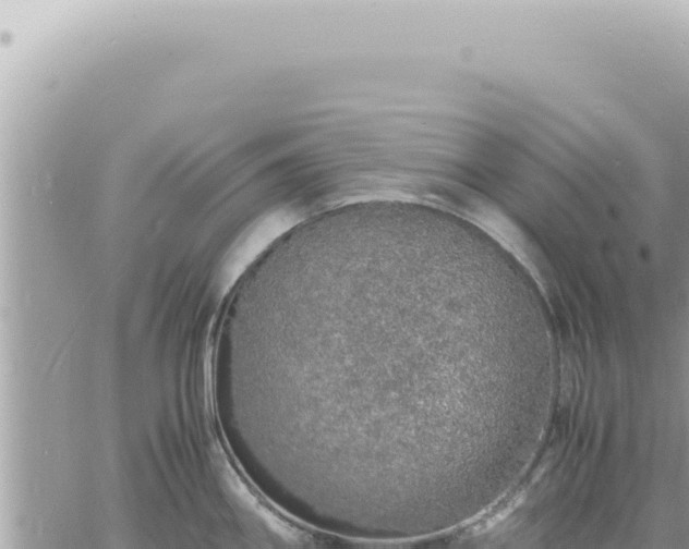 X0000060771290200511171204