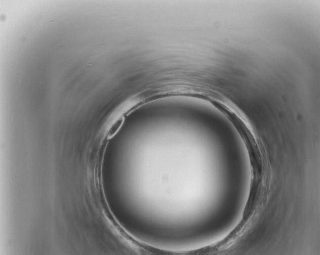 X0000060771293200511171204