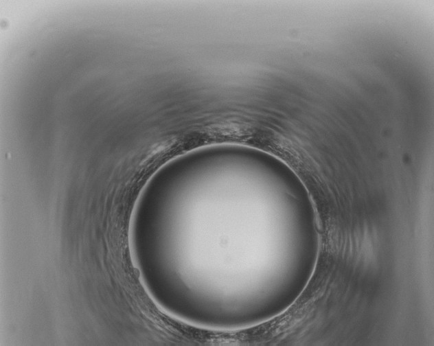 X0000060771297200511171203