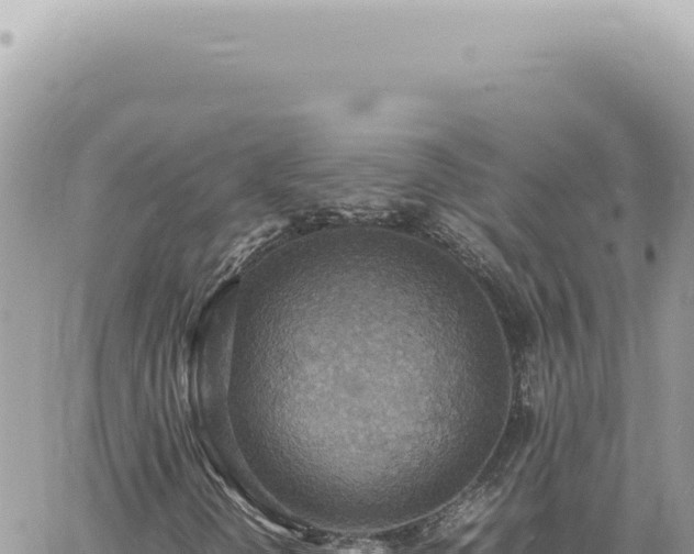 X0000060771298200511171203