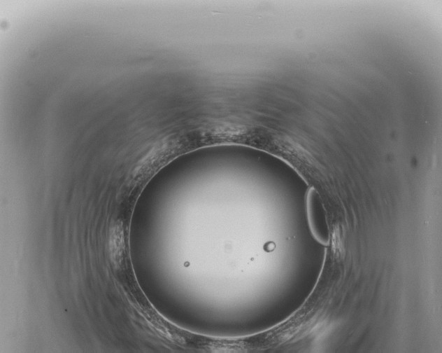 X0000060771299200511171203