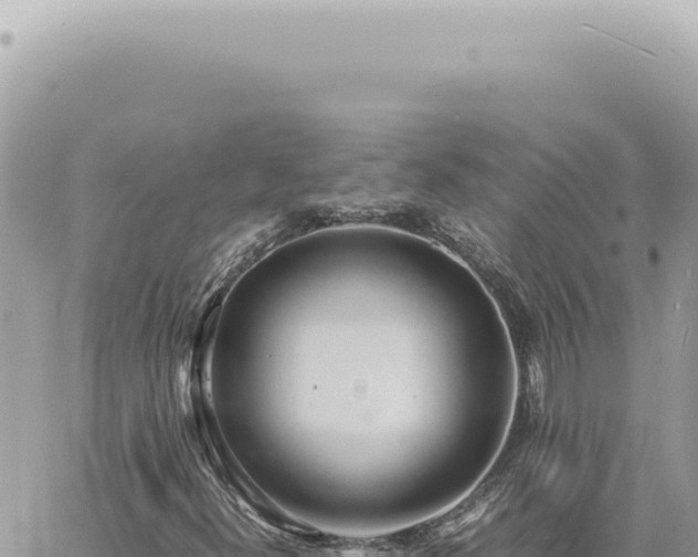 X0000060771300200511171203