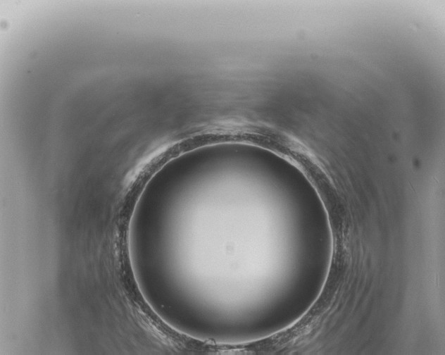 X0000060771304200511171203