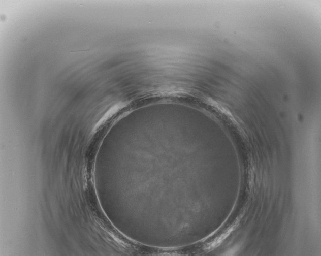 X0000060771306200511171203