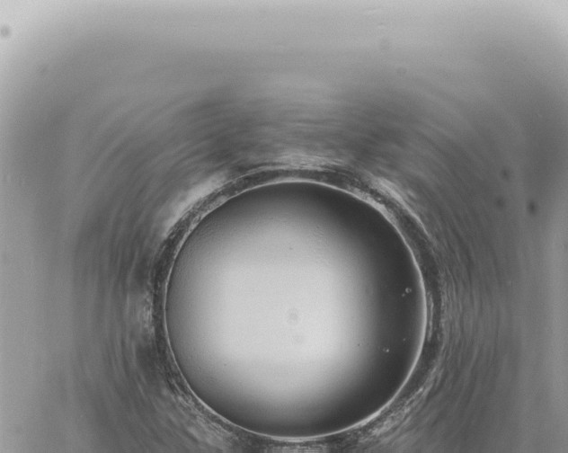 X0000060771307200511171203