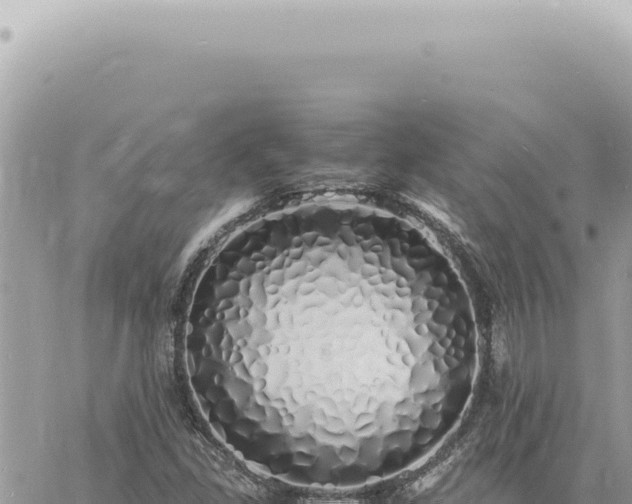 X0000060771309200511171203