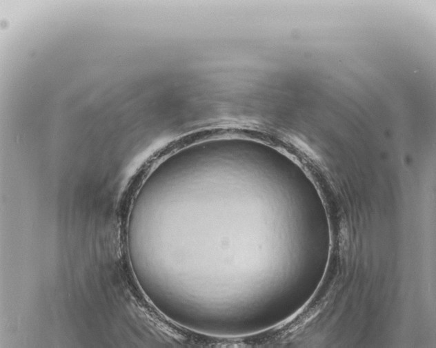 X0000060771310200511171203