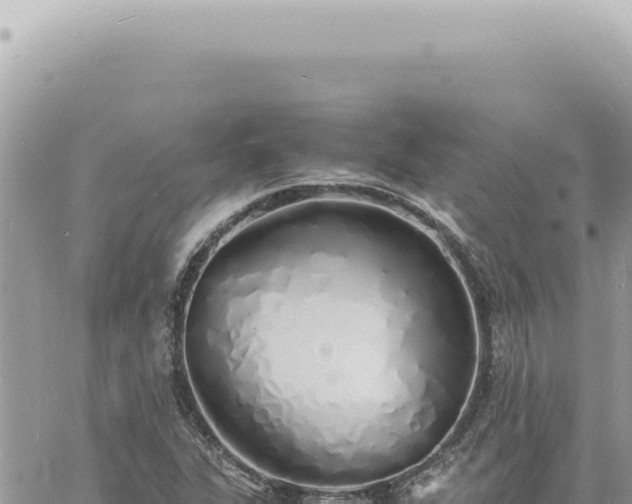 X0000060771311200511171203