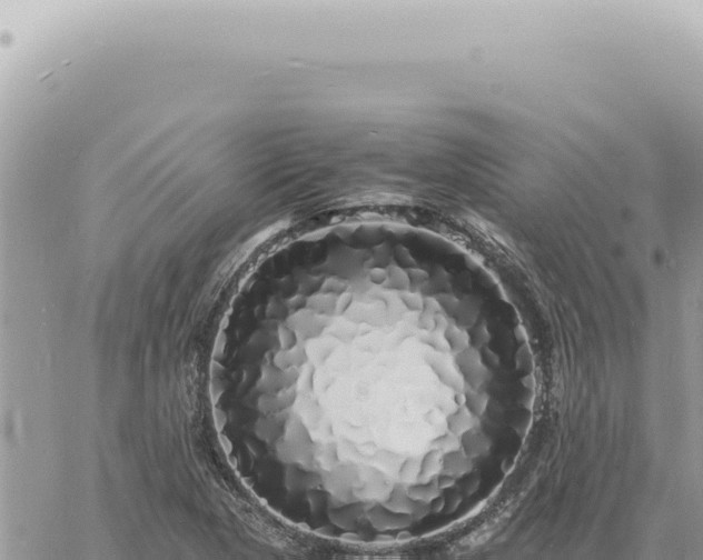 X0000060771313200511171203